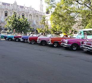Havanna