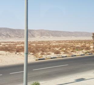 Oase El Gouna & Straussenfarm