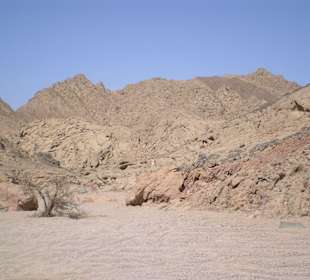 Wüste