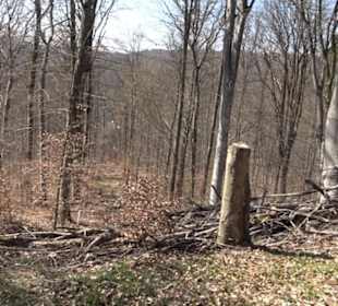 Geologischer Lehrpfad Kirnbachtal