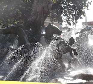 Stadtrundgang/ -fahrt Catania