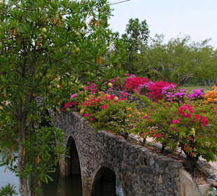 Thai Muang Golf Club