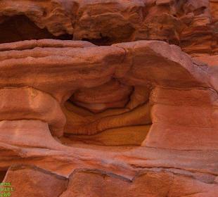 Mit Butschi in den Canyons