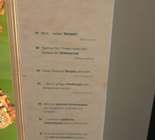 Museum für Naturkunde