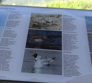 Schaukelweg an der Donau