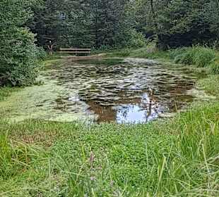 Natur-erlebnispark Holdamoos