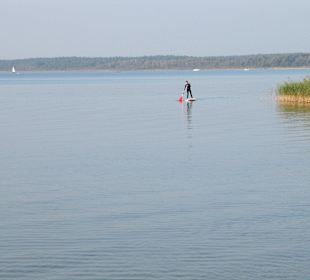Standup Paddling