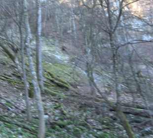 Wandertour Eppenzill
