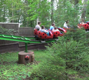Marienkäferbahn