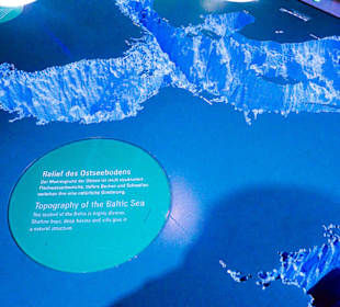 Profil des Meeresbodens