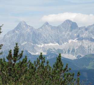 Blick auf den Dachstein 