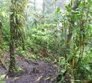 Steiler Abstieg zum See