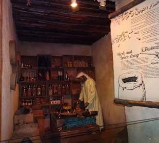 Stadtrundfahrt Dubai