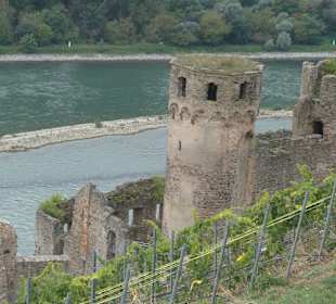 Ruine Ehrenfells am Rüdesheimer Berg am Rhein