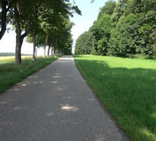 Waldlehrpfad St. Johann