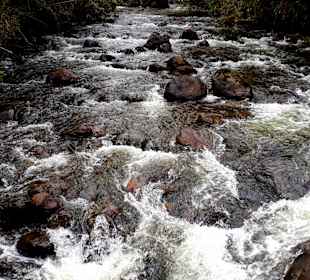 Rundweg „La Isla“ Path