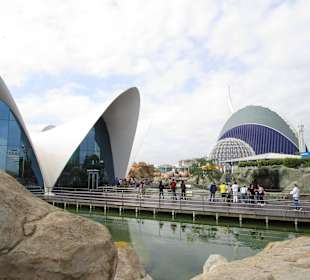 Aquarium / Oceanongrafic