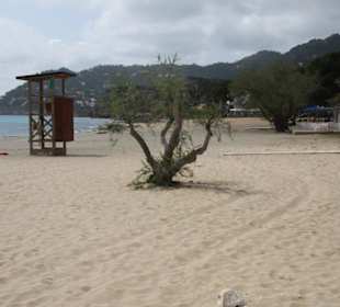 Der Strand im April 2010