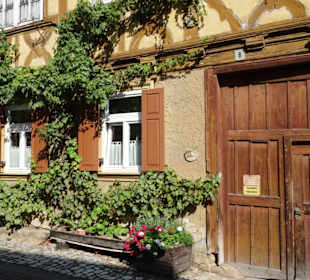 Rundgang durch die Altstadt von Königsberg
