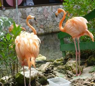 Namensgeber des Hotels