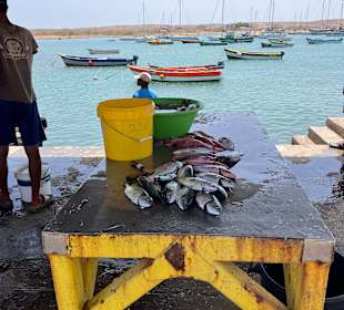 Fischereihafen Santa Maria
