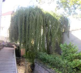 Altstadt Germersheim, an der Queich