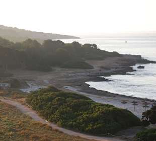 Strand / Naturschutzgebiet