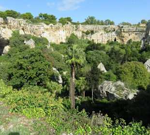 Latomia del Paradiso - antiker Steinbruch 