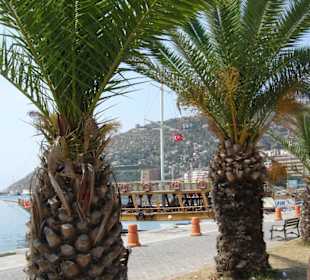 Alanya