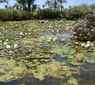 Ausflug in den Botanicactus