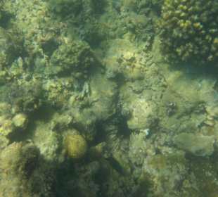 Schnorcheln Hurghada