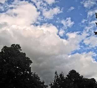 Кладбище Ольсдорф, Гамбург, 16 сентября 2013 года