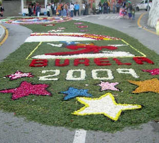 Alfombras florales Burela