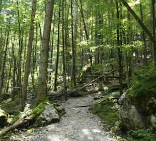 Wanderung von St. Bartholomä zur Eiskapelle