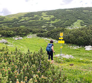 Wandern Alpbachtal Münster