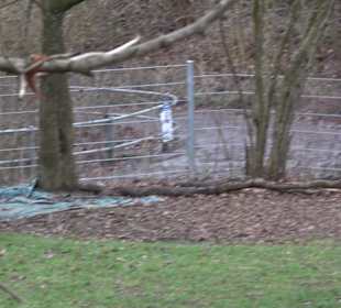 Spielplatz bei der Kirche Oferdingen