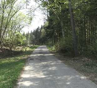 Waldlehrpfad an der Lauter