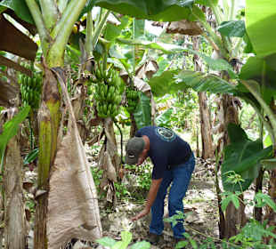 Tropical River Tour  – Oktober 2014