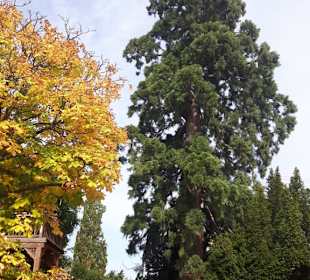 Rhodt unter Rietburg