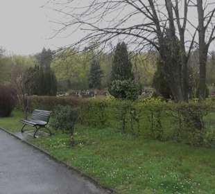 Hauptfriedhof Konstanz