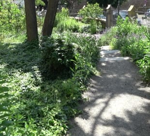 Friedenskirche (Handschuhsheim)