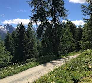 Wandern Scuol