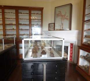 Ausstellung