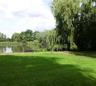 Dowesee-Park