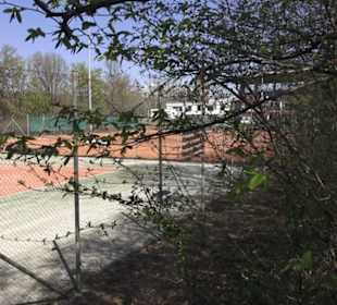 Sport- und Freizeitpark Markwasen