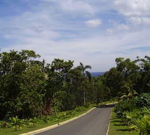 Dunn`s River Falls Auffahrt