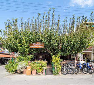 Stadtrundgang Paralia Kourna