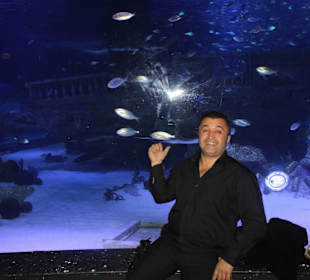 Toni Macaroni in Antalya-Aquarium