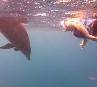 Und er kam noch näher