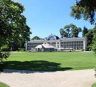 Łazienki królewskie, park